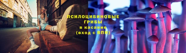 2c-b Бронницы