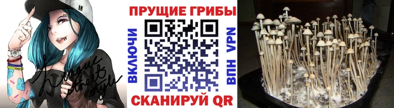 Псилоцибиновые грибы прущие грибы  MEGA сайт  Улан-Удэ  где можно купить наркотик 